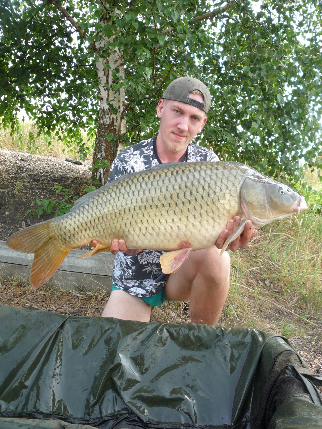 13,3kg, boilies tygří ořech