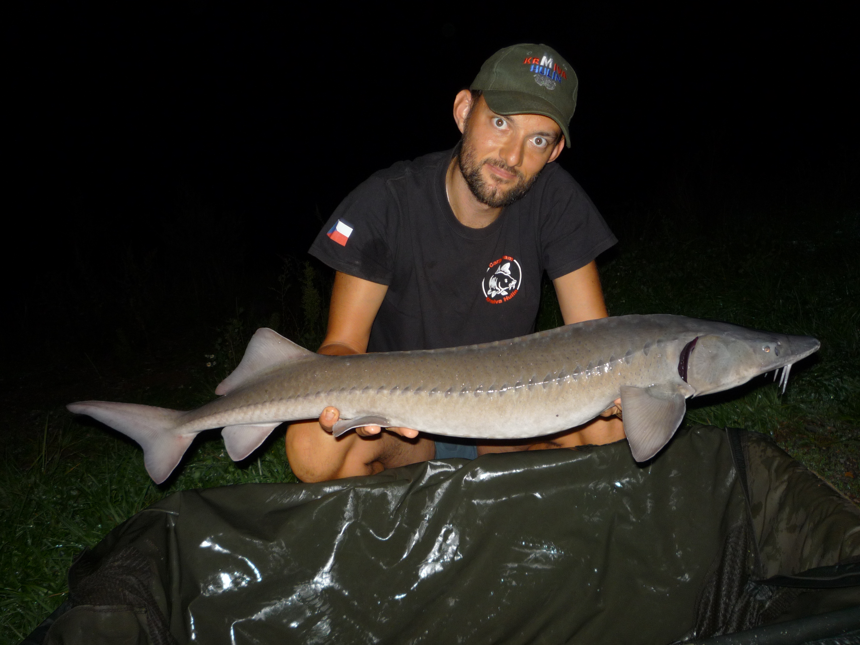 Jeseter 1m, konopné boilies 2krát 20mm, 26.8.2019