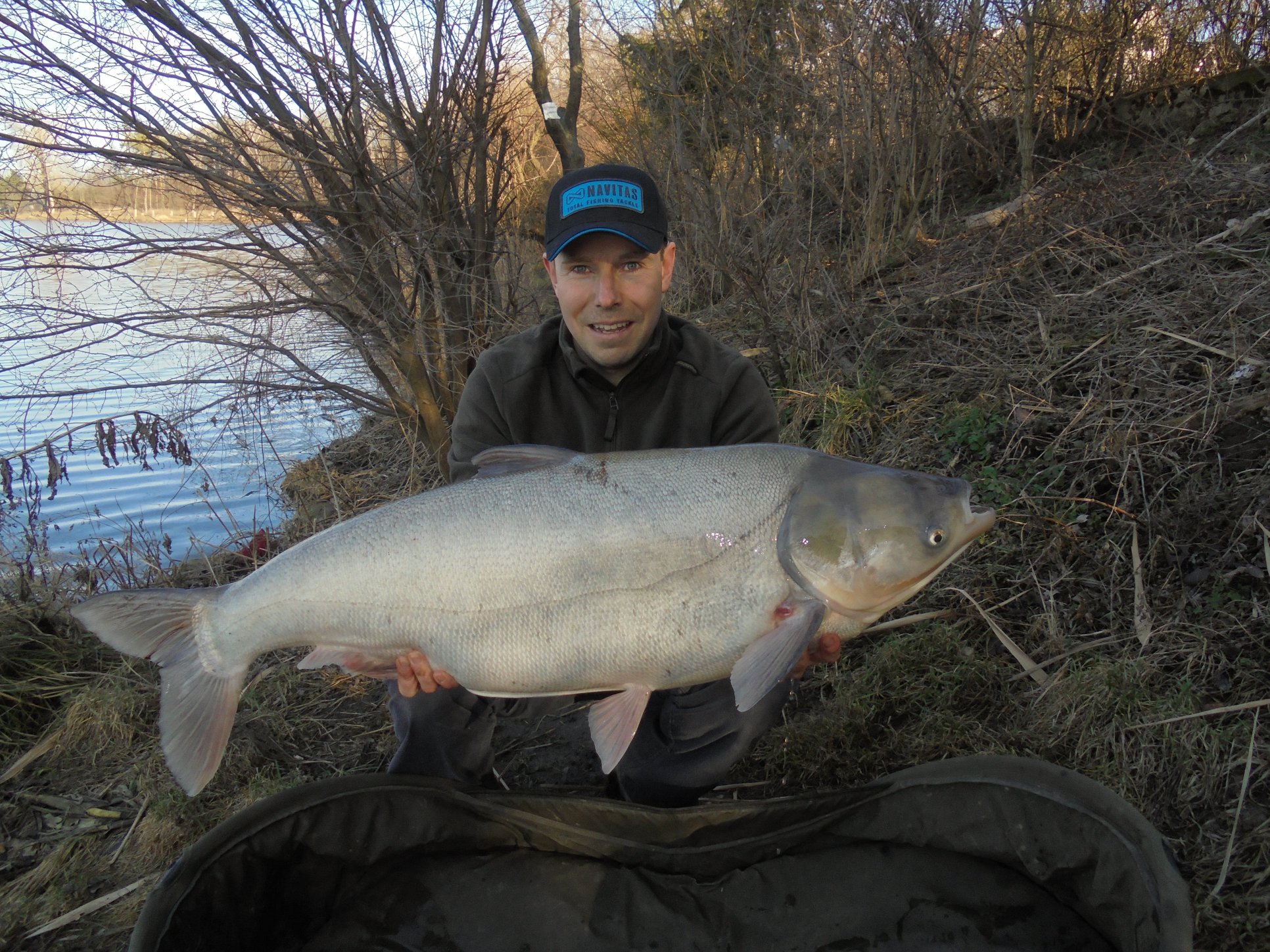 Boilies calypso