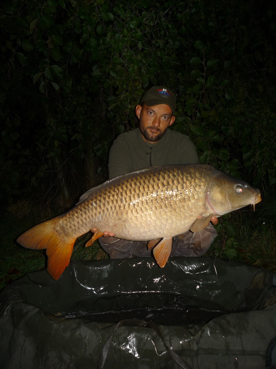 14kg, sumčí boilies, 10.10.2019