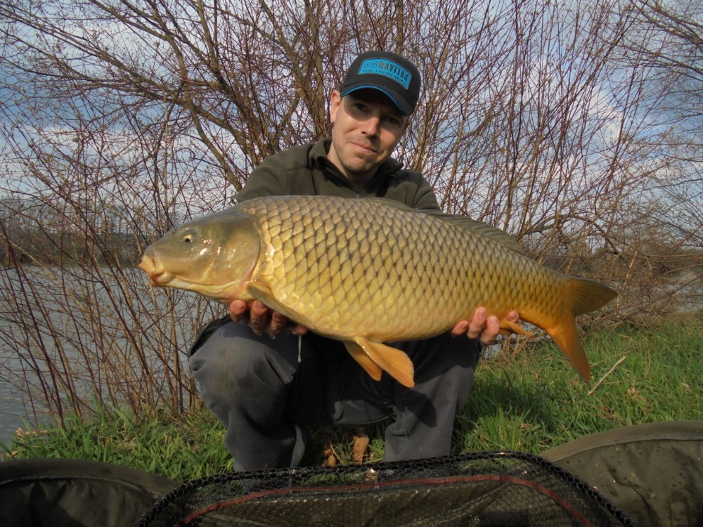Boilies barbarosa
