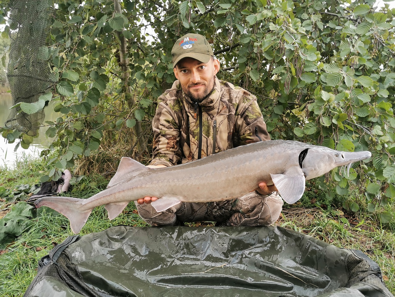 110cm, 7,5kg, sumčí boilies, 10.10.2019