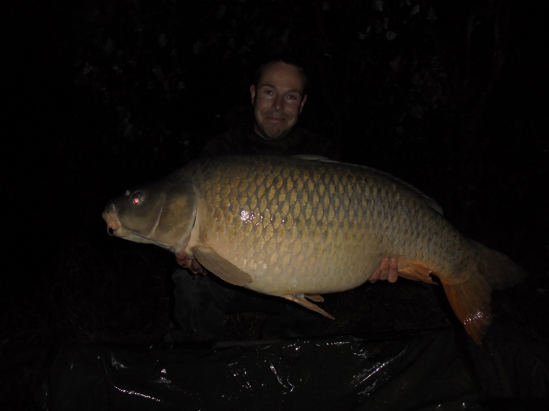 Pikantní jahoda, 20,6 kg