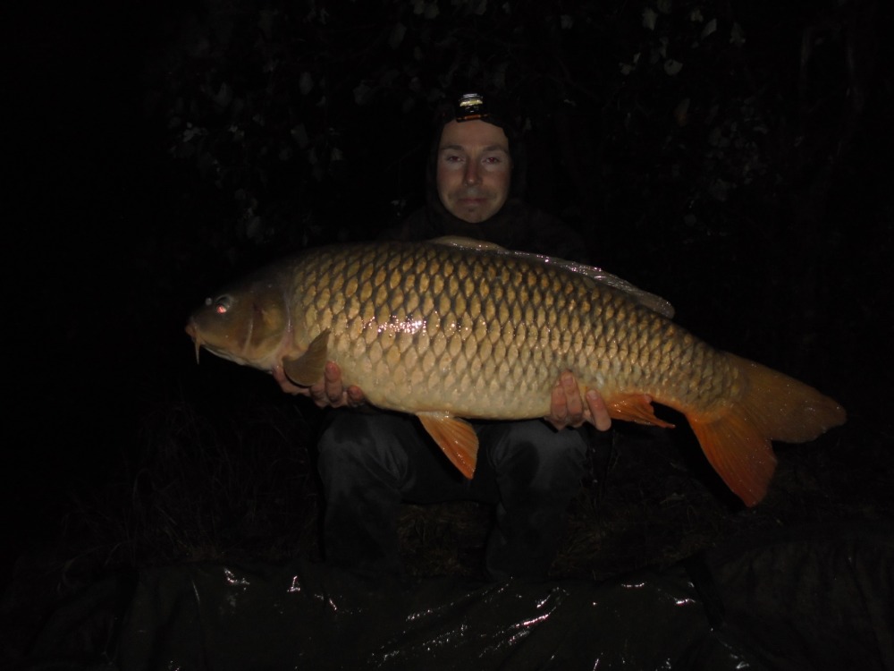 13kg, Boilies  calypso