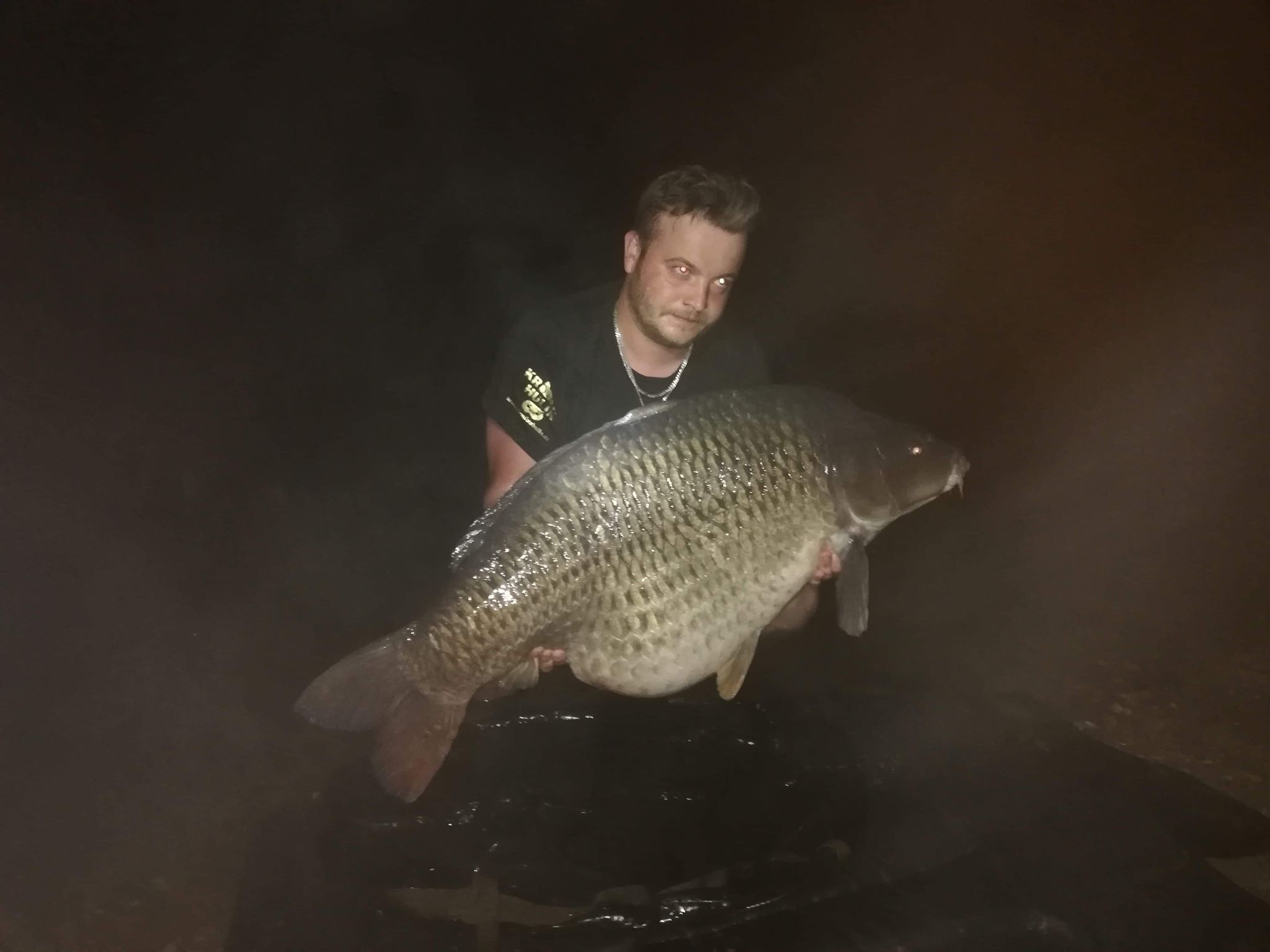 pop up ananas, zig rig směs krill švestka (4)